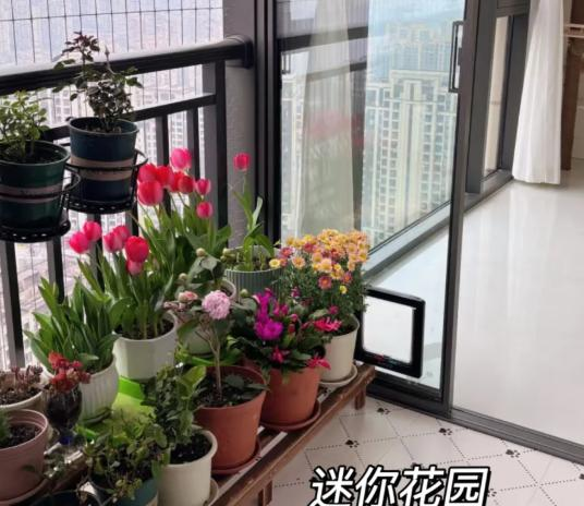 2023阳台装修神操作:封一半留一半,初看懵懂,入住后惊叹太聪明! 2023阳台装修神操作:封一半留一半,初看懵懂,入住后惊叹太聪明!