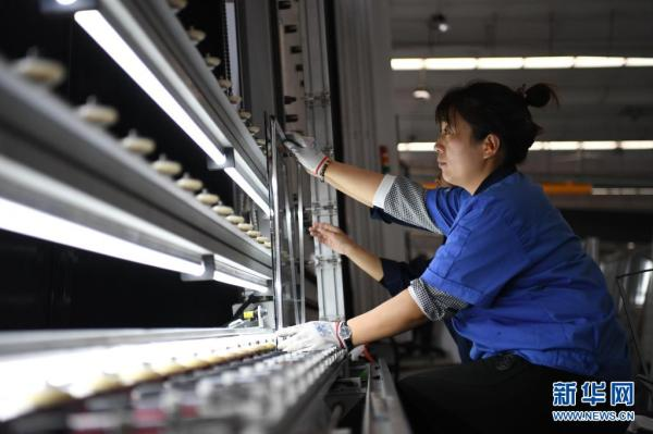 河北高碑店：智慧门窗产业集群加速崛起，引领行业新浪潮！